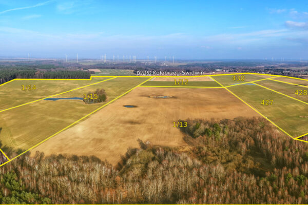 1774185916486 (1)(1)