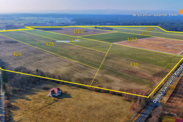 1774185916565 (1)(1)